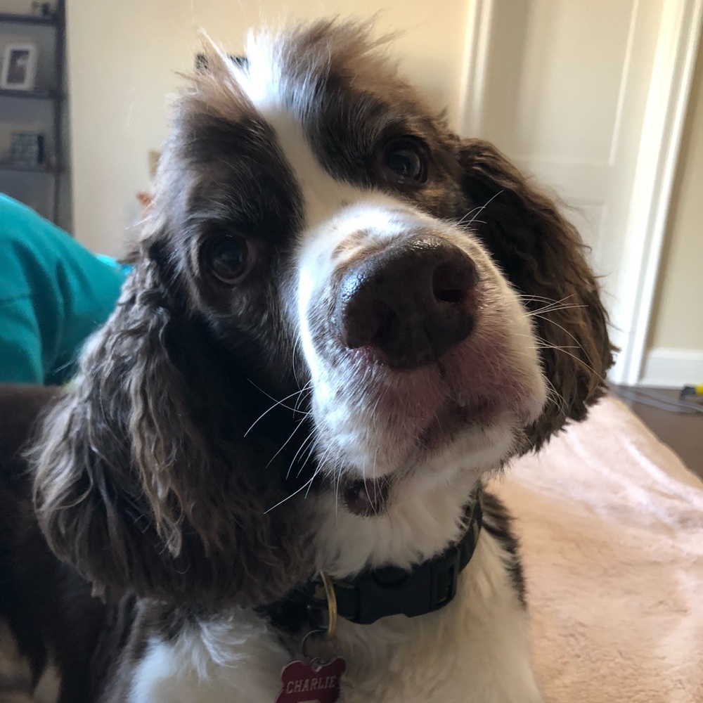 Meet your Posher, Kaitie